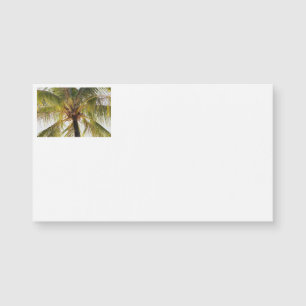 Palm Tree Business Cards