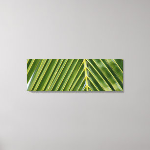 Palm Tree Canvas Print