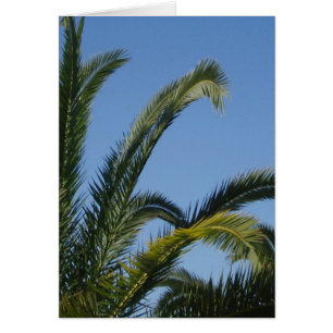 Palm Tree Card