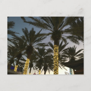 Palm Tree Christmas Lights Holiday Postcard