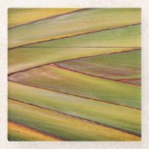 Palm Tree Coaster