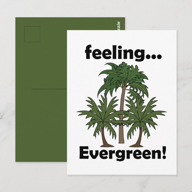 Palm Tree Feeling Evergreen Tropical Birthday Postcard (Front/Back)