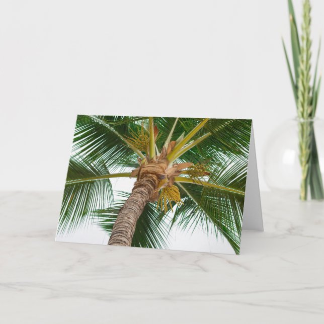 Palm Tree from Down Below Card (Front)