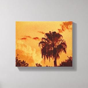 Palm Tree Golden Hour Stretched Canvas Print