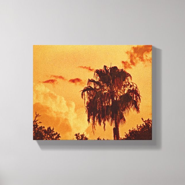 Palm Tree Golden Hour Stretched Canvas Print (Front)