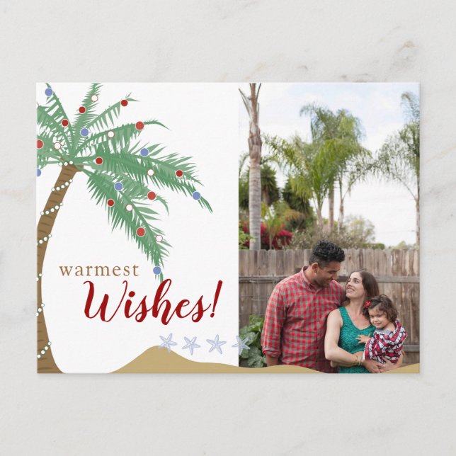Palm Tree Holiday Photo Postcard (Front)