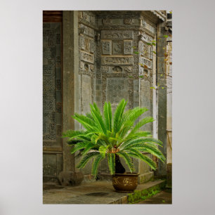 Palm Tree   Hongcun, China Poster