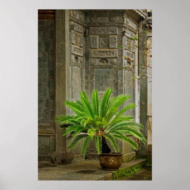 Palm Tree | Hongcun, China Poster (Front)