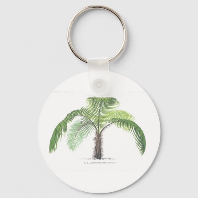 Palm tree illustration III Collection Key Ring (Front)