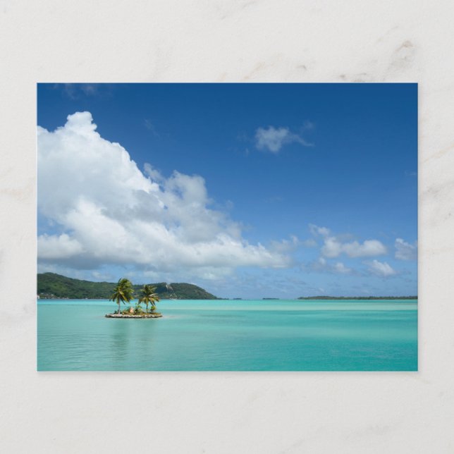 Palm tree in Bora Bora lagoon postcard (Front)