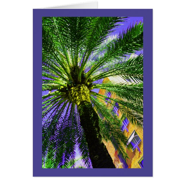 Palm tree in the evening card (Front)