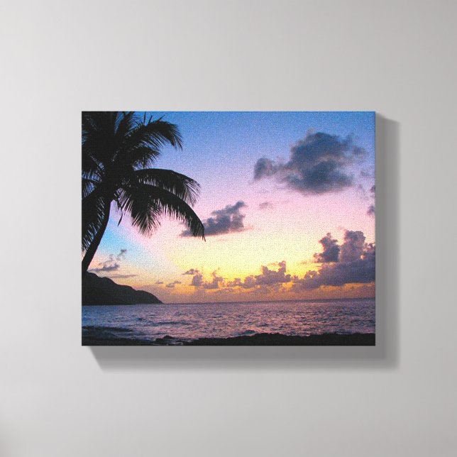 Palm Tree in the Sunset Canvas Print (Front)