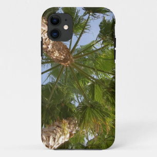 Palm Tree iPhone5 Case