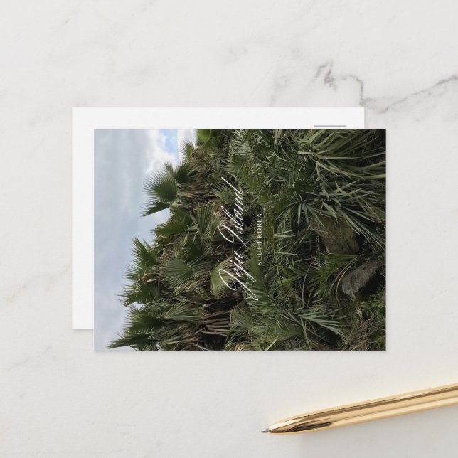 Palm Tree - Jeju - Jeju Island - South Korea Holiday Postcard (Front/Back In Situ)