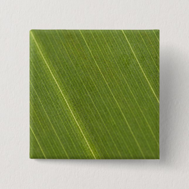 Palm Tree Leaf 15 Cm Square Badge (Front)