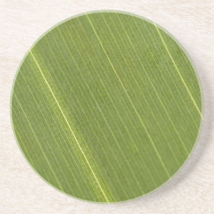 Palm Tree Leaf Coaster
