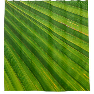 Palm tree leaf james palm trees shower curtain