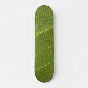 Palm Tree Leaf Skateboard