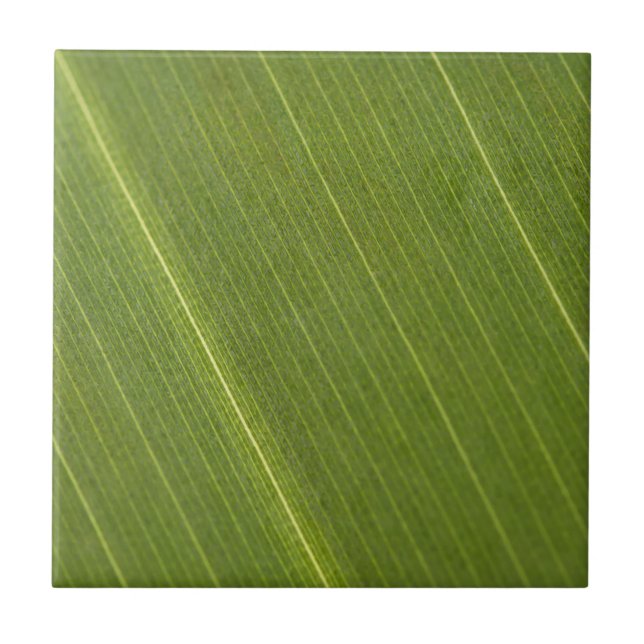 Palm Tree Leaf Tile (Front)
