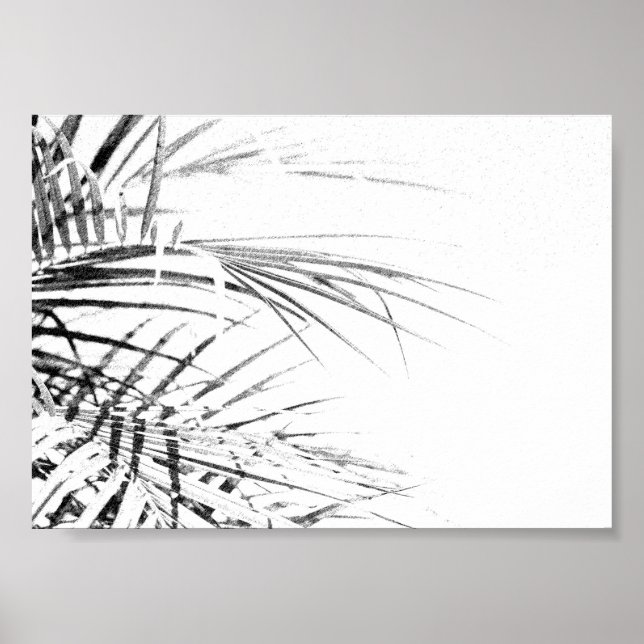 Palm Tree Leaves Minimalism Sketch Poster (Front)