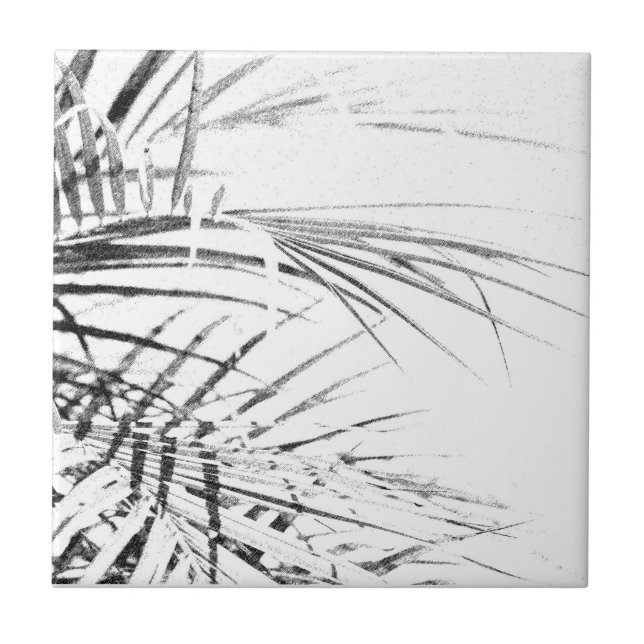 Palm Tree Leaves Minimalism Sketch Tile (Front)
