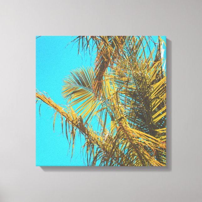 Palm Tree Leaves Turquoise Sky Canvas Print (Front)