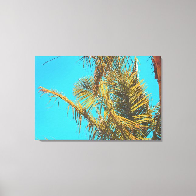 Palm Tree Leaves Turquoise Sky Canvas Print (Front)
