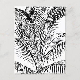 Palm Tree Leaves Vintage Retro Abstract Pattern  Holiday Postcard