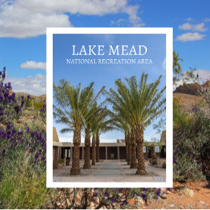 Palm Tree-Lined Walk Visitor Center Lake Mead ,NRA Postcard