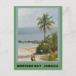 Palm Tree, Montego Bay Jamaica June 2011 Postcard