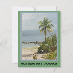 Palm Tree, Montego Bay Jamaica  Postcard