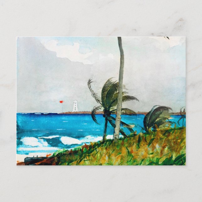 Palm Tree Nassau by Winslow Homer Postcard (Front)