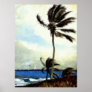 'Palm Tree-Nassau' Poster