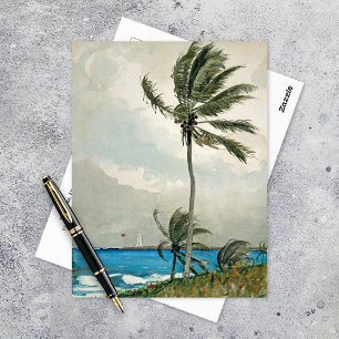 Palm Tree Nassau Winslow Homer Postcard