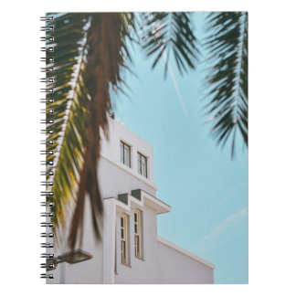 Palm tree near white concrete building notebook