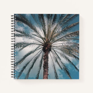 Palm tree - notebook