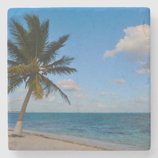 Palm Tree on a Beach Stone Coaster (Front)