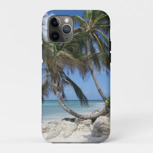 Palm Tree on Beach Barbados iPhone 11 Pro Case