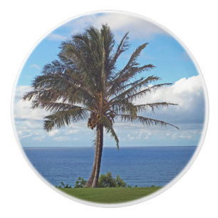PALM TREE ON BLUFF ABOVE OCEAN CERAMIC KNOB
