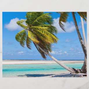 Palm tree on the ocean beach flyer