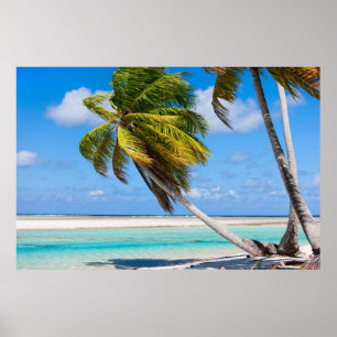 Palm tree on the ocean beach poster