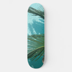 palm tree over the water skateboard