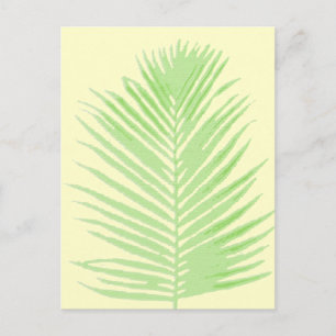 palm tree postcard
