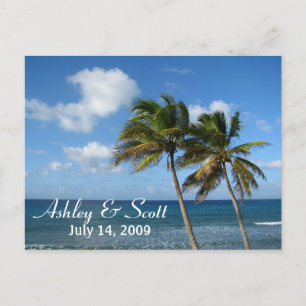 Palm Tree Postcard