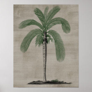 Tropical Posters | Zazzle.co.uk