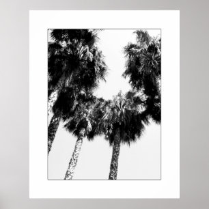 Palm Tree Poster