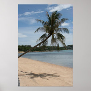 palm tree poster