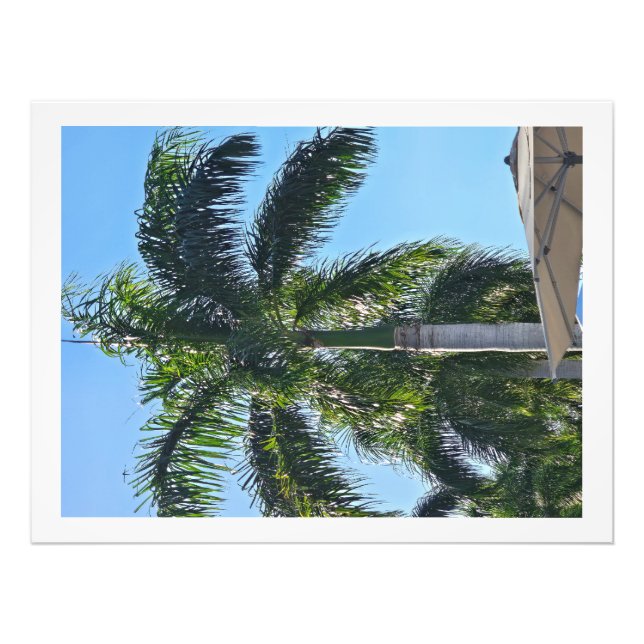 Palm tree print (Front)