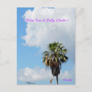 Palm tree Puffy clouds Florida Postcard