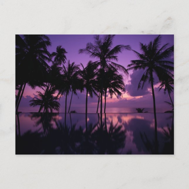 Palm Tree Reflection Postcard (Front)